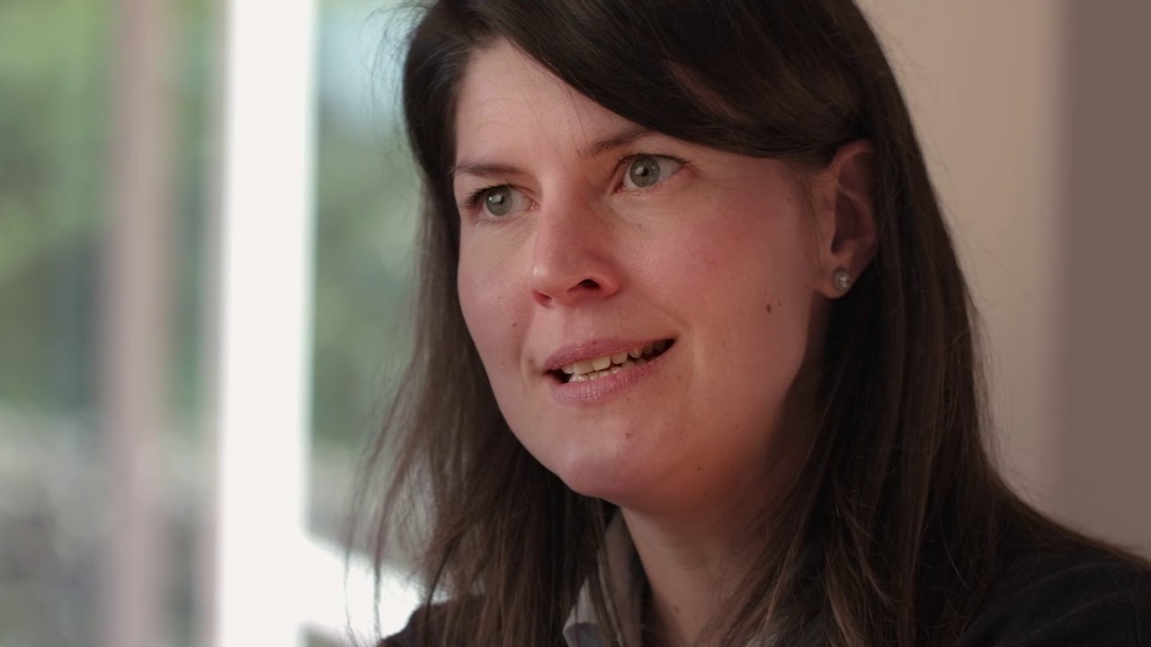 The Artful Sheep   Brand Video