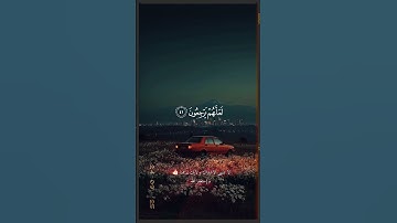 اكتب شيء تؤجر عليه ❤😴 آيات عظيمة تهز القلوب 🎧تلاوة خاشعة لسورة الروم بصوت يأسر القلوبQuran الدوسري