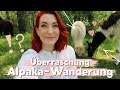 Überraschung: Lama- & Alpakawanderung – Best Day EVER // Weekly Vlog 44 | Sabrina Sterntal
