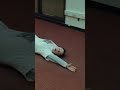 Watch Billie Eilish’s music video for BIRDS OF A FEATHER now!