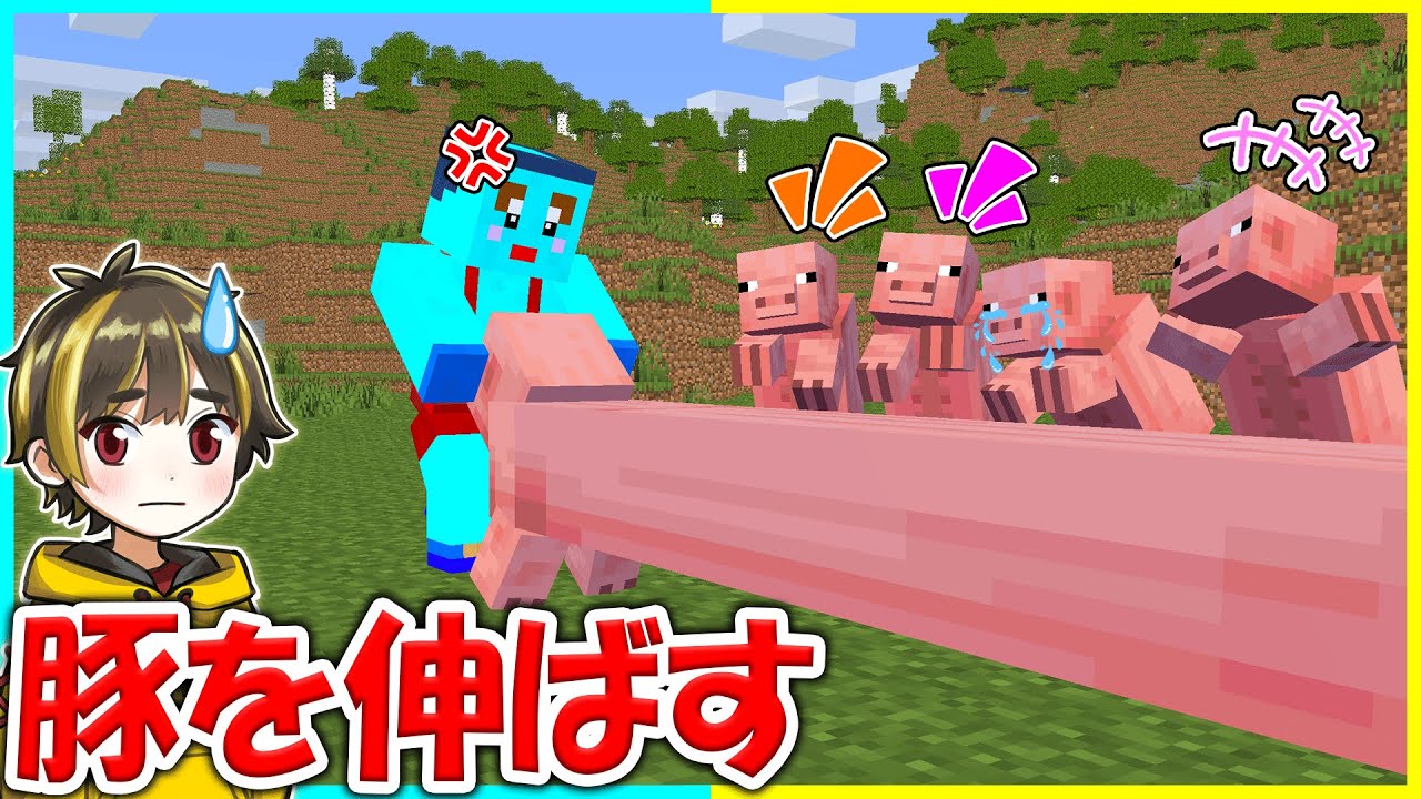 マインクラフトで起きた奇跡がすごすぎるwww【まいくら / マイン