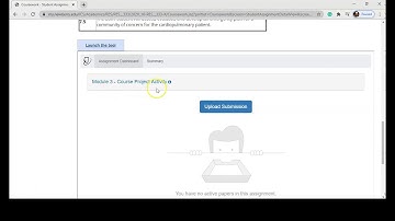 Submitting Assignments Using Turnitin