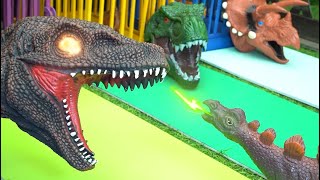 Animals Transform into Dinosaurs to Rescue Babies – Learn Colors and Shapes |Learning Video for Kids