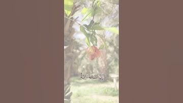وَأَنَا اختَرتُكَ فَاستَمِع لِما يوحى | سورة طه | شريف مصطفى