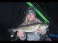 Early Ice Walleyes - Mille Lacs