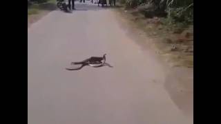 nab  thiab nab sib toghttps://youtu.be/Jc-dRKFucnw