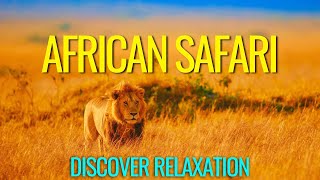 Peaceful African Safari With African Instrumental Music, Relaxing Music With African Wildlife screenshot 3