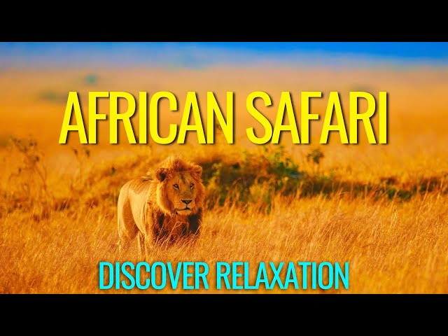 Peaceful African Safari With African Instrumental Music, Relaxing Music With African Wildlife class=