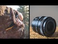 Sigma 65mm f/2 REVIEW — is it BETTER than an 85mm lens?
