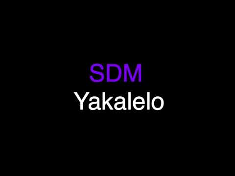 BASS BOOSTED : SDM- Yakalelo (Écouteurs recommandés) 🔥🔥
