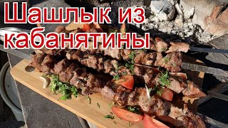 Рецепты из кабана - как приготовить кабана пошаговый рецепт - Шашлык из кабанятины за 30 минут Рецепты из кабана - как приготовить кабана пошаговый рецепт - Шашлык из кабанятины за 30 минут
