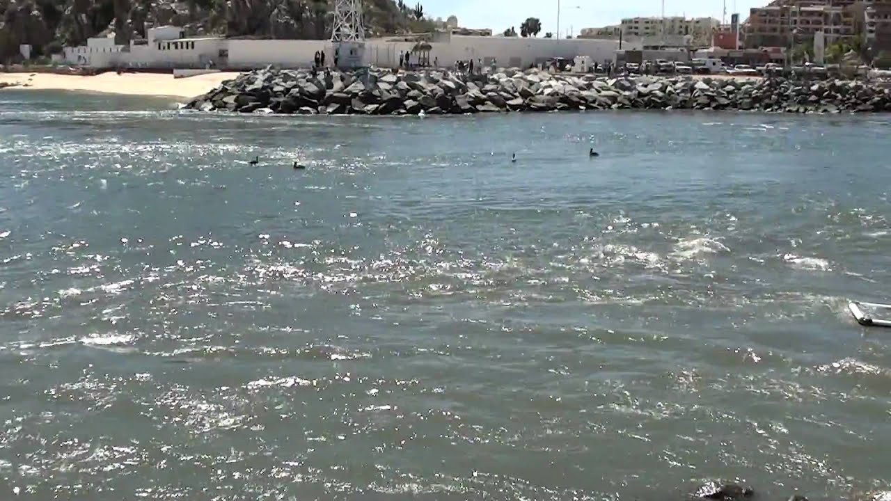 Earthquake Today San Jose Del Cabo Tsunami Update Earthquake Today San Jose Del Cabo Tsunami Update