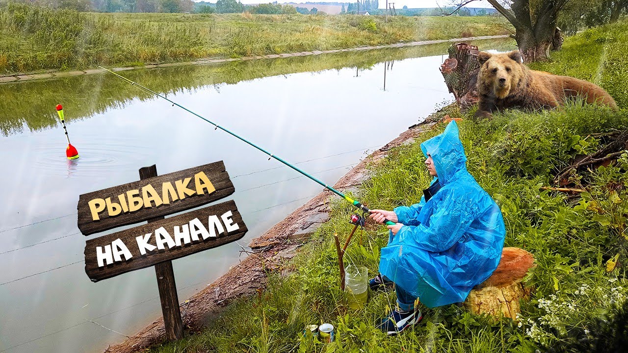 РЫБАЛКА НА ЗАКИДУШКУ ДОНКА! - YouTube