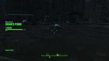 The Quickest Way To Kill Swan In Fallout 4