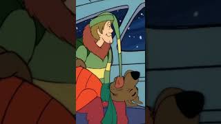 Zzz Scooby Doo