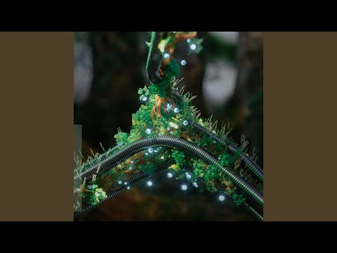 Flashing Lights (Extended Mix)