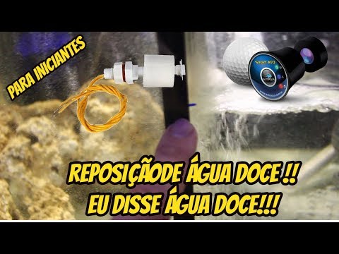 Vídeo: Como fazer comida de cachorro com frango e arroz para cães com diarréia