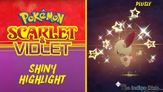 Shiny Plusle REACTION! - Pokemon Scarlet and Violet