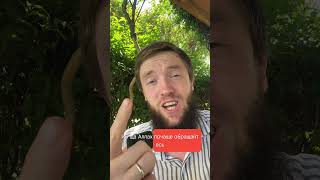 🤲🏻АЛЛАХ ОТВЕТИТ НА ТВОЕ ДУА #дуа #коран #мусульманин