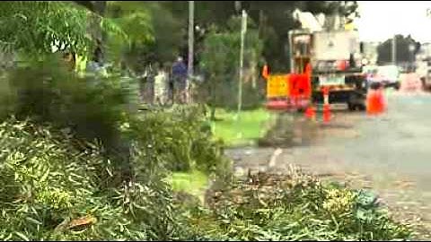 Melbourne swamped by heavy rain and flash flooding