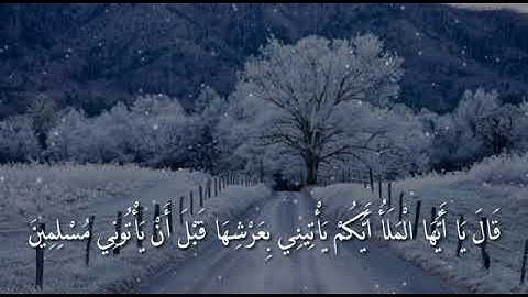 حالة واتس اب ارح قلبك بقرأة القرآن الكريم(ماتيسر من سورة النمل_القارئ : اسلام صبحي)