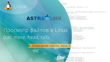 Урок 3. Просмотр файлов в командной строке  (работает в любых ОС Linux/Unix)