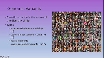 Bioinformatics Lecture 19: Genetic Variation I