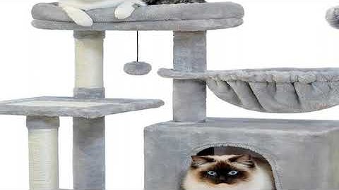 Hot Cat tree Cat Tower for Indoor Cats 2 Styles Cat Activity Tree with Cat Scratching Posts Big Hamm