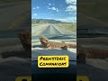Road Trip!