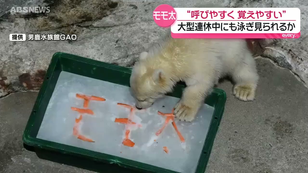 Momo様専用 【公式通販】