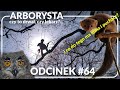 Odcinek #64 - Arborysta... drwal 🪓 czy lekarz 🩺?