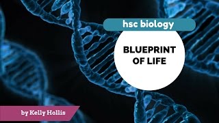 Blueprint of Life 9.3.2.a) - Pedigrees