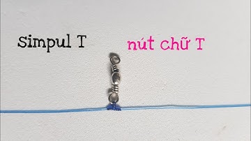 làm thế nào để buộc nút chữ T câu cá/ how to tie t knot
