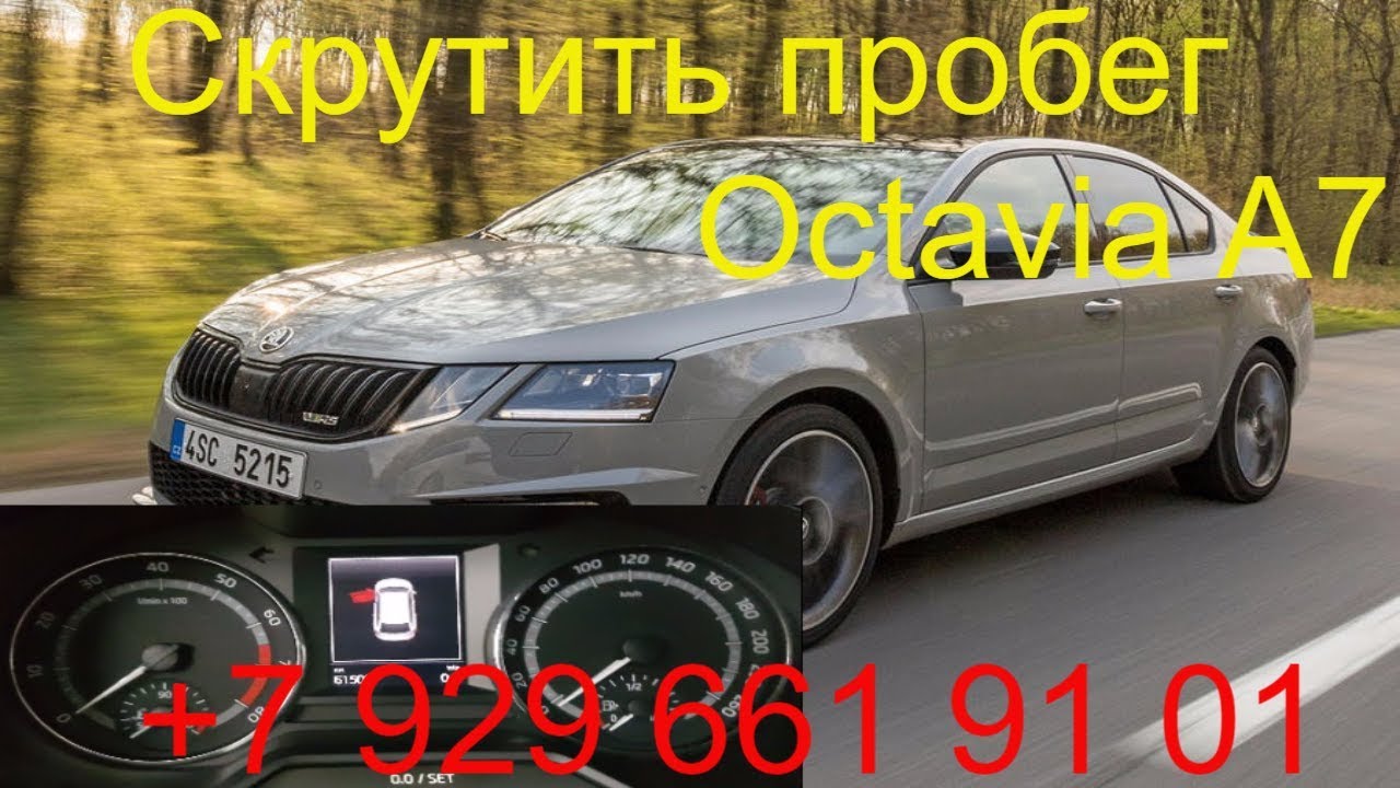 Корректировка пробега шкода октавия тур