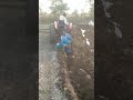 Mini Plough | Sabin Enterprises | Exporter| Agri Machine & Implements