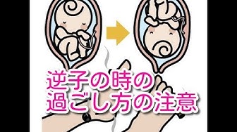 逆子 Youtube 逆子 Youtube