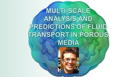 Multi-scale Analysis and Predictions of Fluid Transport in Porous Media