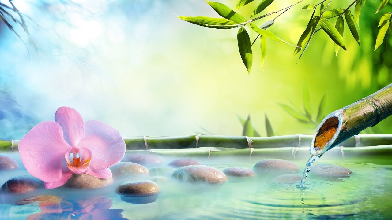 Obejrzyj Japanese Spa Music – Bamboo Dreams | Relaxing, Soothing w YouTube Obejrzyj Japanese Spa Music – Bamboo Dreams | Relaxing, Soothing w YouTube