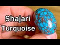 Whats shajari turquoise