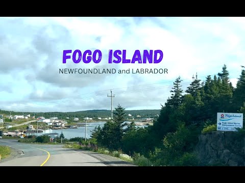 Discover The Majestic Beauty of Fogo Island, Newfoundland Canada