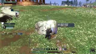 Crowfall: Getting started