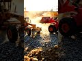 Mini Grader Power! 🚜 Clearing the Path at Golden Hour
