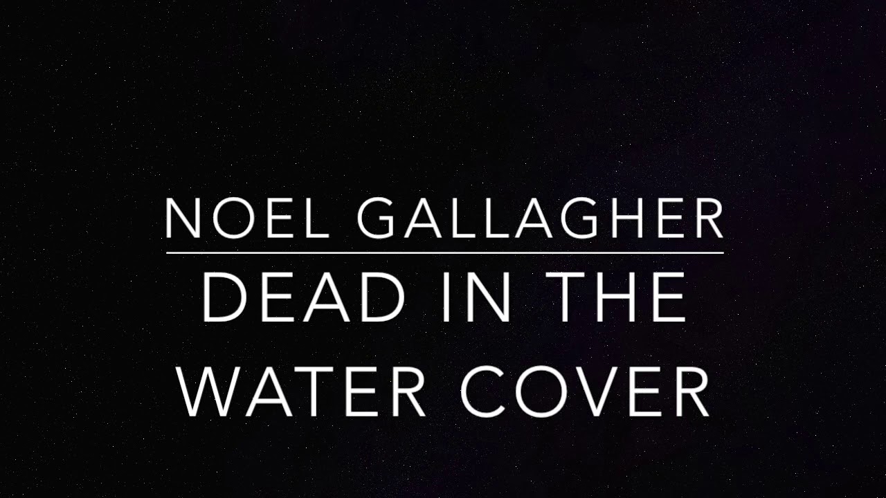 DEAD IN THE WATER..NOEL GALLAGHER..COVER - YouTube