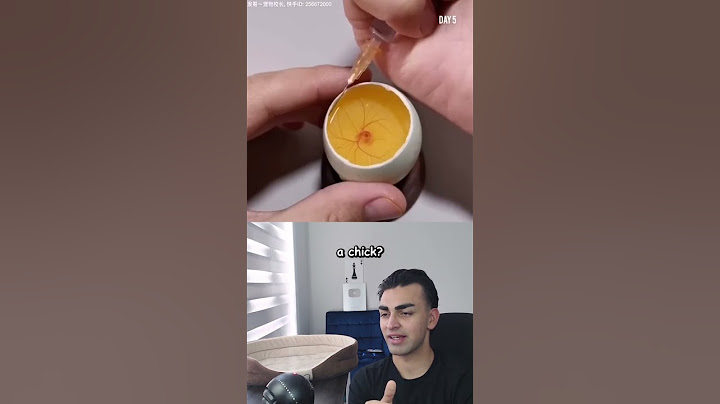 From Egg to Chick: Scary Transformation 😳
