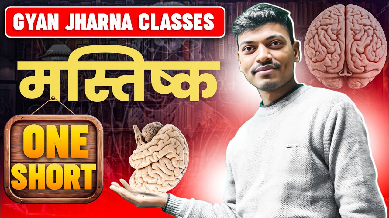 Human Brain (मानव मस्तिष्क) || HumanBrain Facts [Fore Brain] || Nervous System ||All exams 