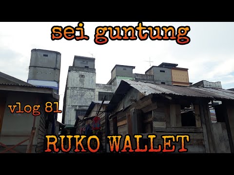 Sei guntung penghasil kelapa dan wallet| burung wallet| ruko berjejer sepanjang jalan| vlog 81