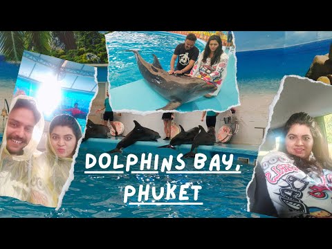 Dolphins Bay Phuket || Watching Seals & Dolphins in 1st line || Phuket Trip mein 100% masti