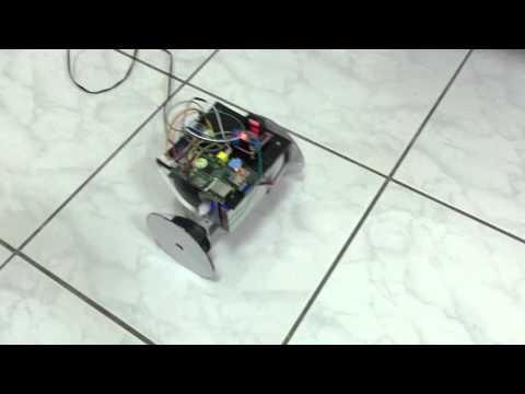 Segway by raspberryPi (two wheel balance car)兩輪平衡車