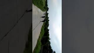 Stm Angkasa 60 base 23 DOR Vs Ayam kampung