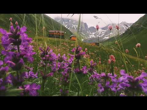 Calmness სულიერი სიმშვიდე